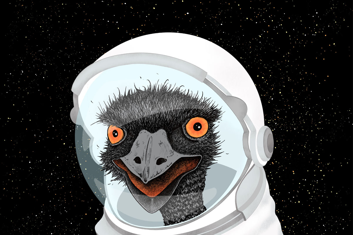 Portrait of an emu wearing an astronaut helmet with faint stars in the background
